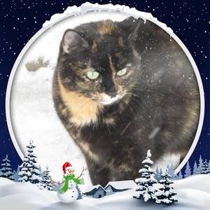 Meet your Posher, Barbara